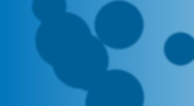 本周新增网站收录